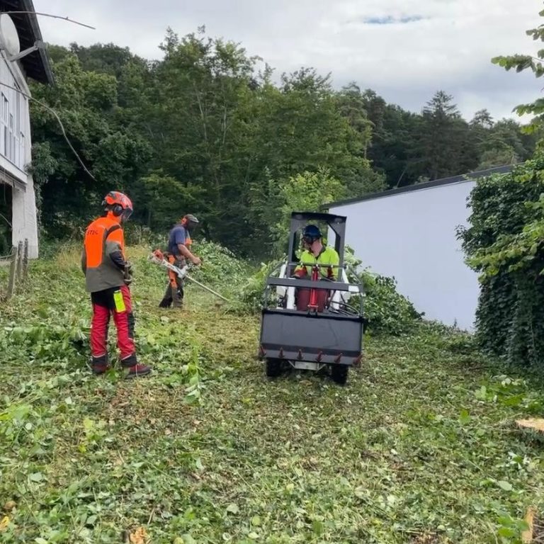 Gartenräumung Drei Personen arbeiten mit Maschinen und entfernen Grünzeug auf einem Feld.